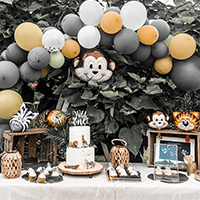 Blumen für Event - Mannheim - Viernheim